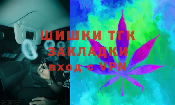 PSILOCYBIN Алзамай