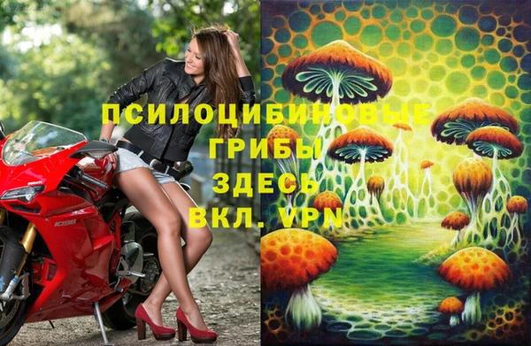 PSILOCYBIN Алзамай