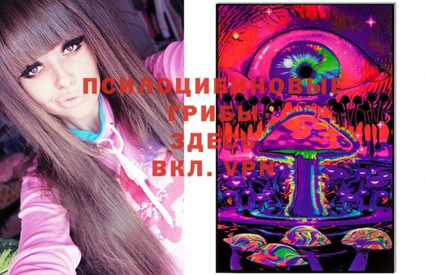 PSILOCYBIN Алзамай