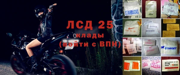 PSILOCYBIN Алзамай