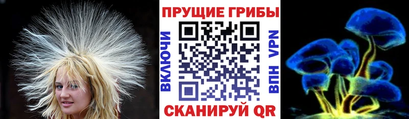 Псилоцибиновые грибы GOLDEN TEACHER  ссылка на мегу   Большой Камень  закладка 